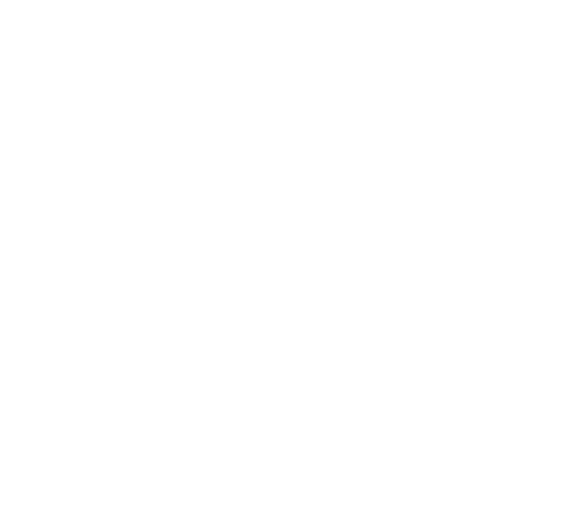 logo said hammy